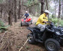 Quad Biking