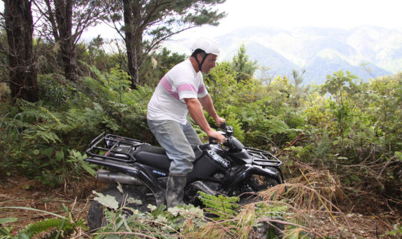 Quad Biking