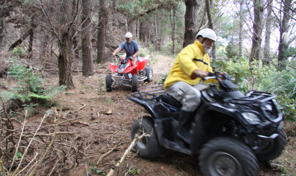 Quad Biking